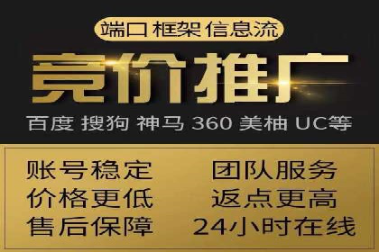 网络推广与竞价策略实战案例